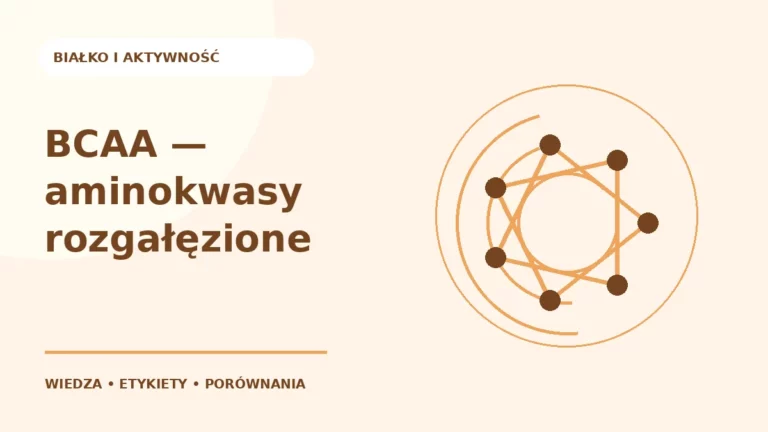 BCAA — aminokwasy rozgałęzione — ilustracja edukacyjna