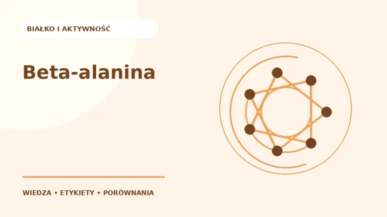 Beta-alanina — ilustracja edukacyjna