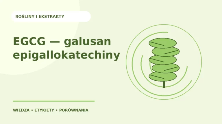 EGCG — galusan epigallokatechiny — ilustracja edukacyjna