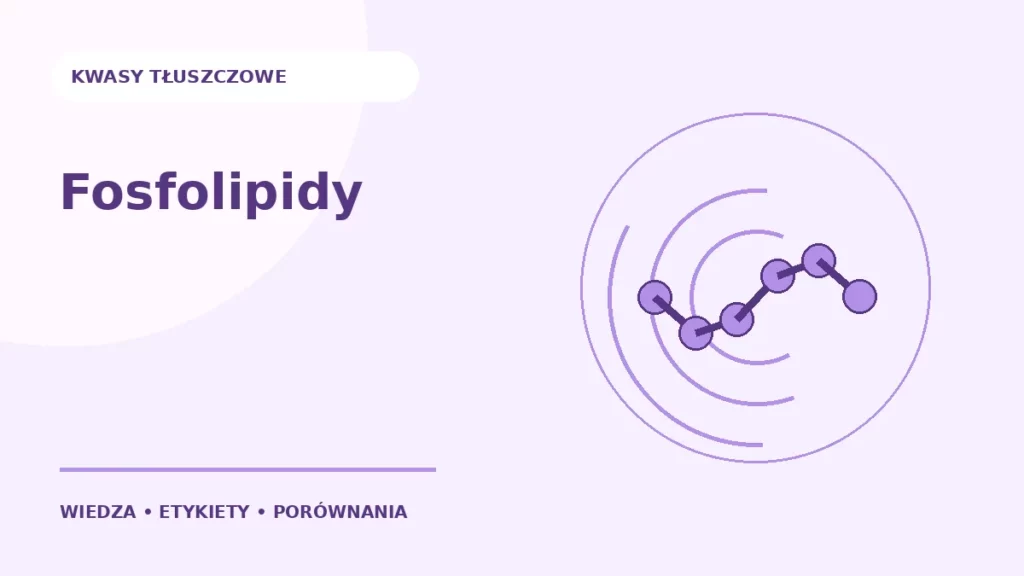 Fosfolipidy — ilustracja edukacyjna