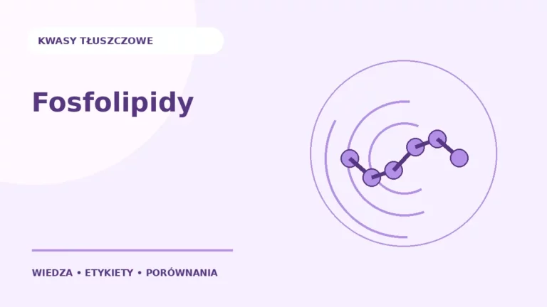 Fosfolipidy — ilustracja edukacyjna
