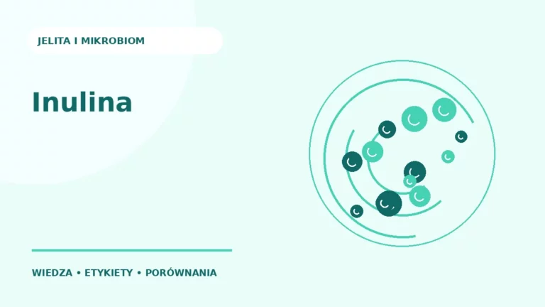Inulina — ilustracja edukacyjna