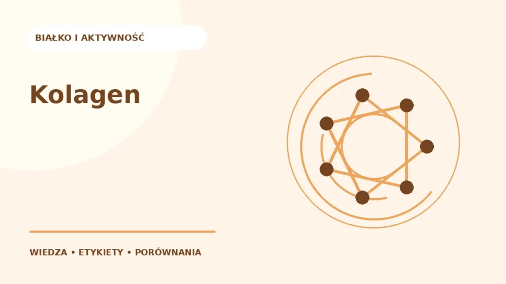 Kolagen — ilustracja edukacyjna