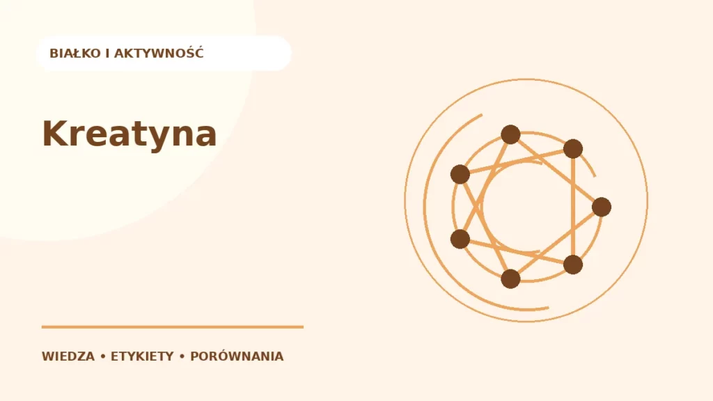 Kreatyna — ilustracja edukacyjna