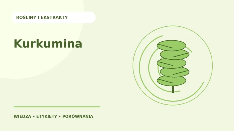 Kurkumina — ilustracja edukacyjna