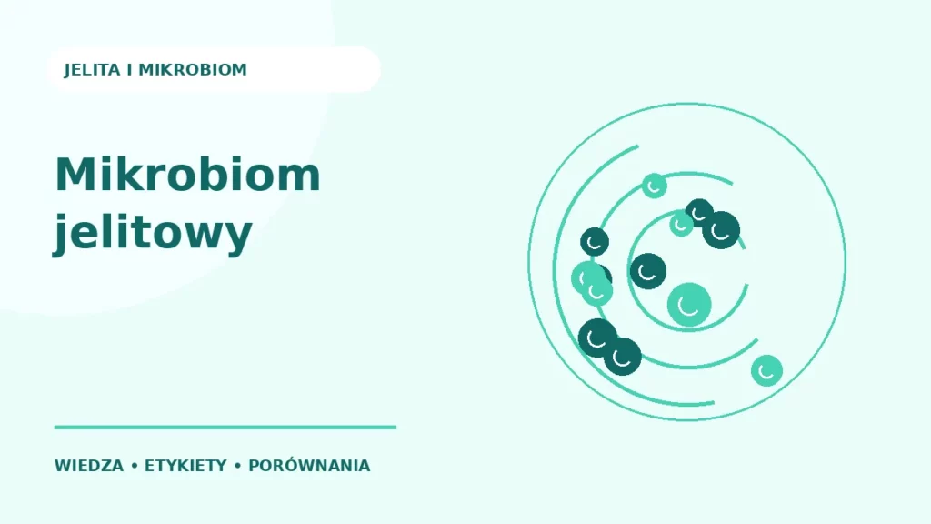 Mikrobiom jelitowy — ilustracja edukacyjna