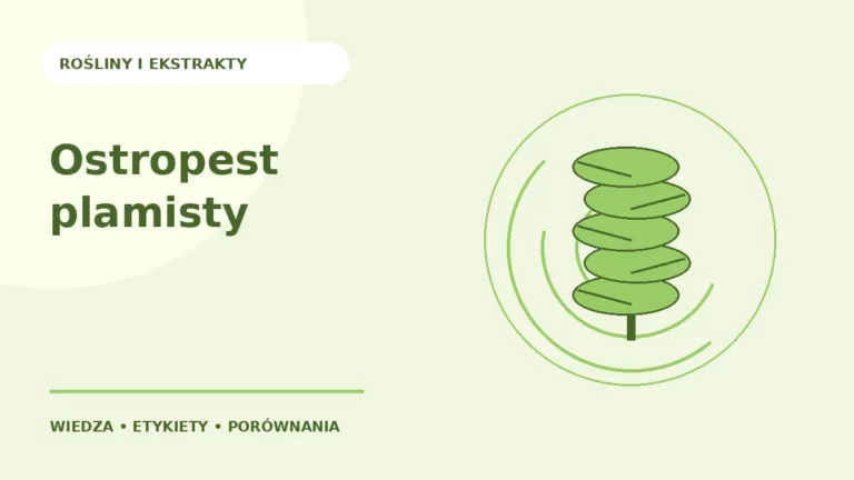 Ostropest plamisty — ilustracja edukacyjna