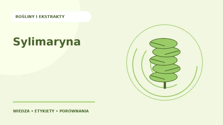 Sylimaryna — ilustracja edukacyjna