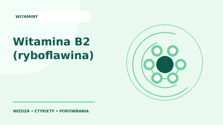 Witamina B2 (ryboflawina) — ilustracja edukacyjna