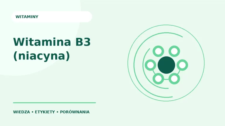 Witamina B3 (niacyna) — ilustracja edukacyjna