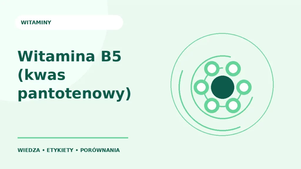 Witamina B5 (kwas pantotenowy) — ilustracja edukacyjna