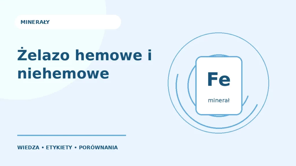 Żelazo hemowe i niehemowe — ilustracja edukacyjna