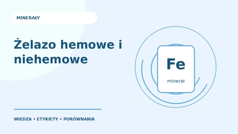 Żelazo hemowe i niehemowe — ilustracja edukacyjna