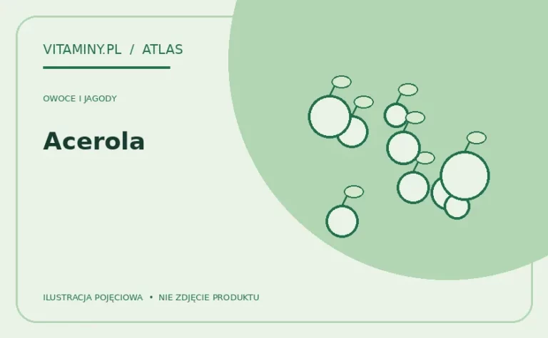 Acerola — ilustracja edukacyjna