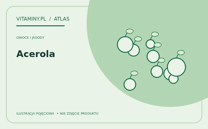 Acerola — ilustracja edukacyjna