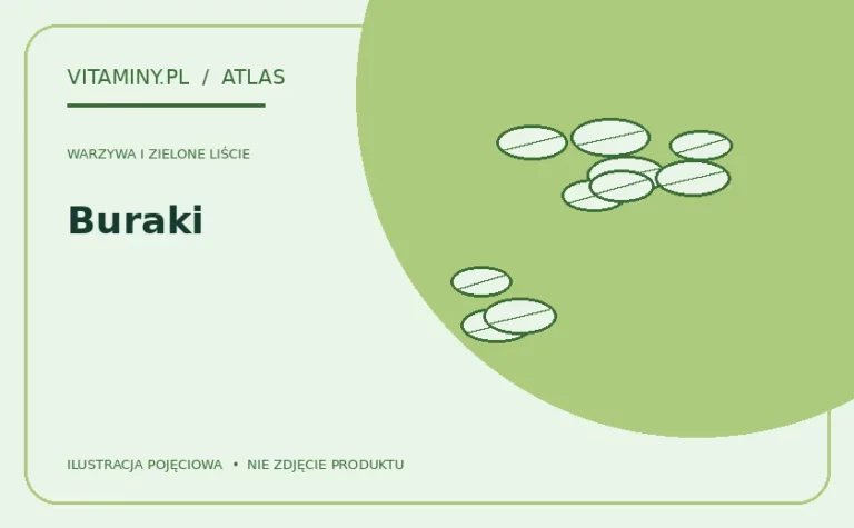 Buraki — ilustracja edukacyjna
