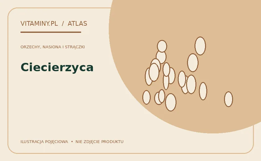 Ciecierzyca — ilustracja edukacyjna
