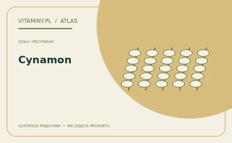 Cynamon — ilustracja edukacyjna