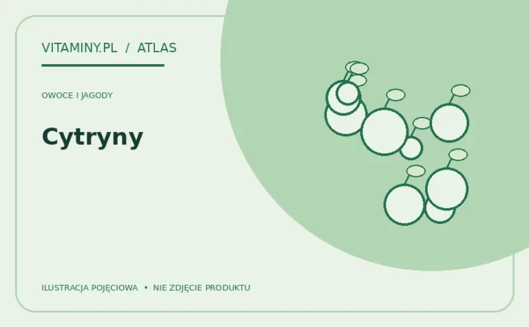 Cytryny — ilustracja edukacyjna