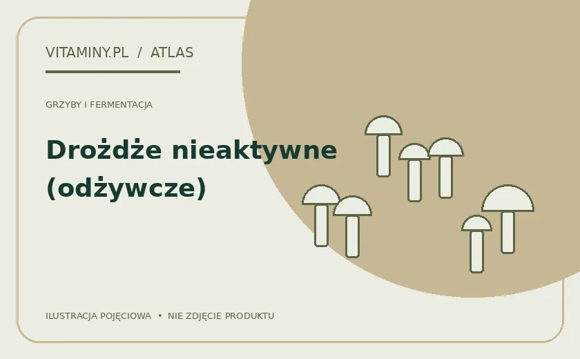 Drożdże nieaktywne (odżywcze) — ilustracja edukacyjna