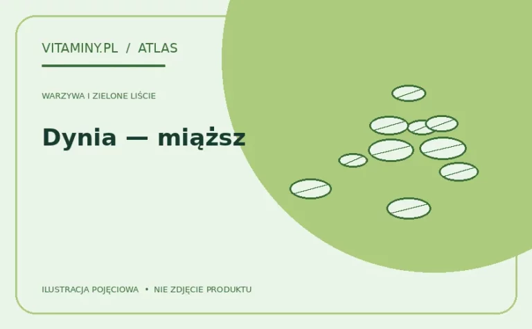 Dynia — miąższ — ilustracja edukacyjna