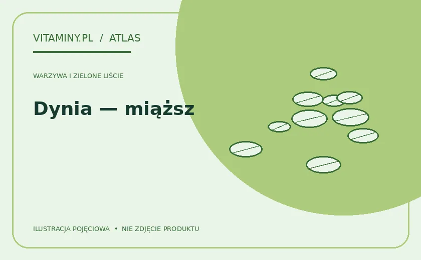 Dynia — miąższ — ilustracja edukacyjna