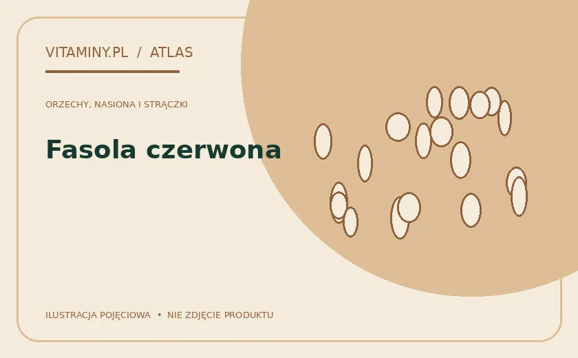 Fasola czerwona — ilustracja edukacyjna