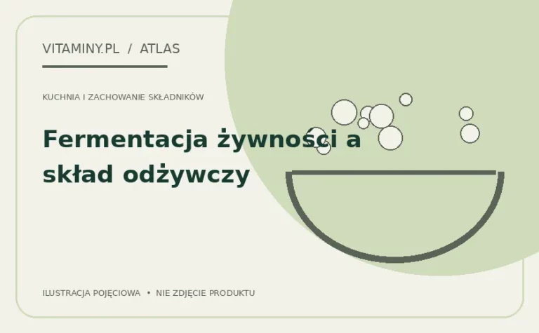 Fermentacja żywności a skład odżywczy — ilustracja edukacyjna