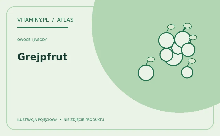 Grejpfrut — ilustracja edukacyjna