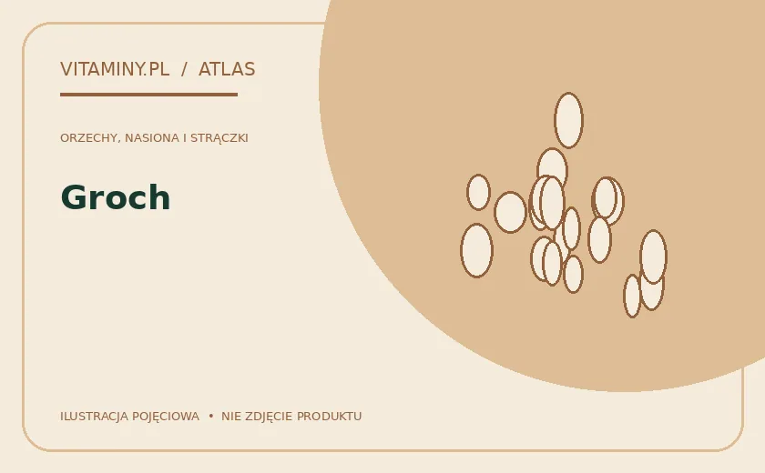Groch — ilustracja edukacyjna