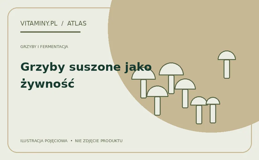 Grzyby suszone jako żywność — ilustracja edukacyjna