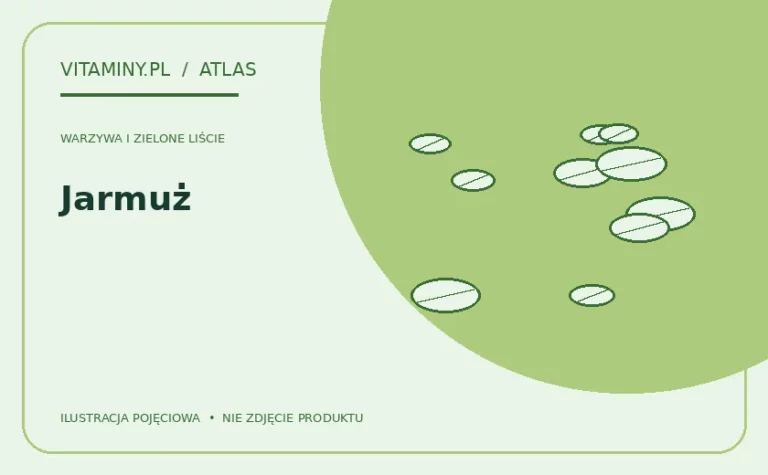 Jarmuż — ilustracja edukacyjna