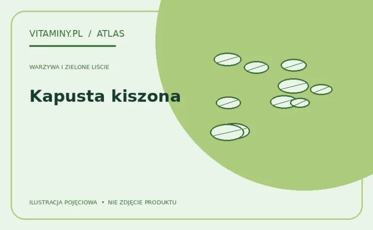Kapusta kiszona — ilustracja edukacyjna