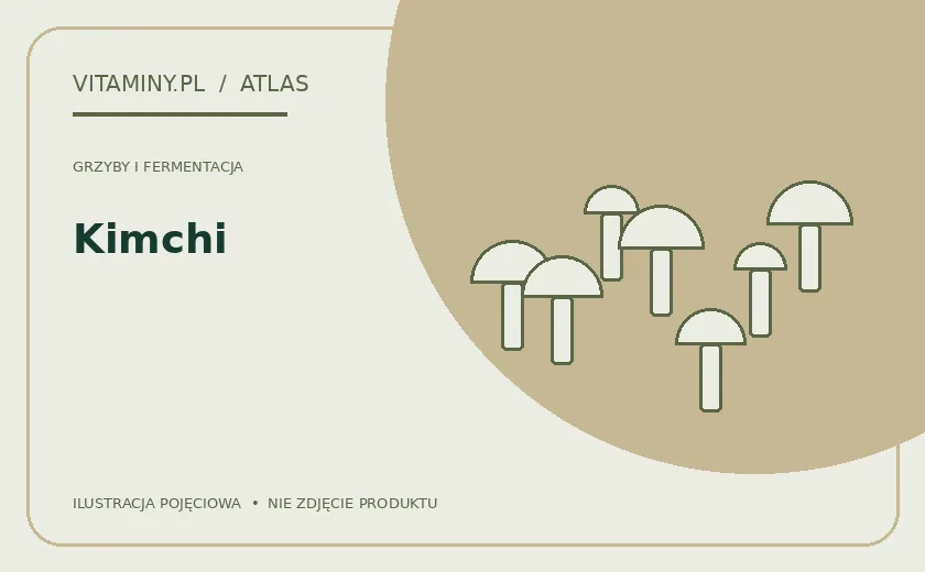 Kimchi — ilustracja edukacyjna