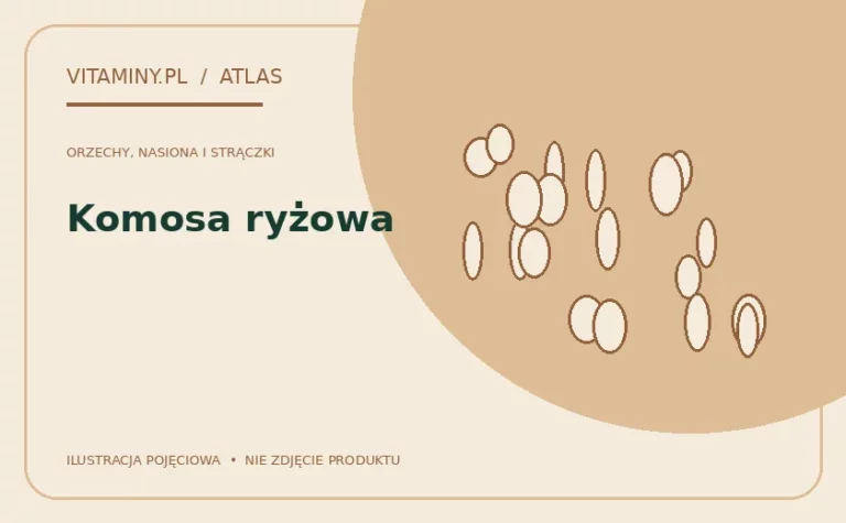 Komosa ryżowa — ilustracja edukacyjna