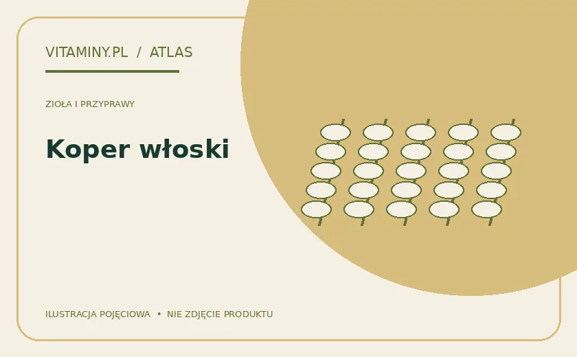 Koper włoski — ilustracja edukacyjna