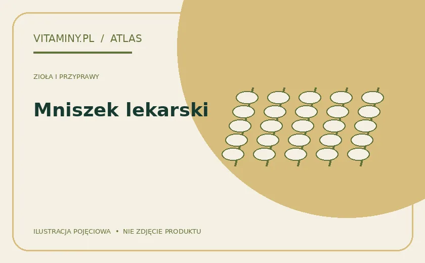 Mniszek lekarski — ilustracja edukacyjna