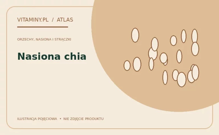 Nasiona chia — ilustracja edukacyjna
