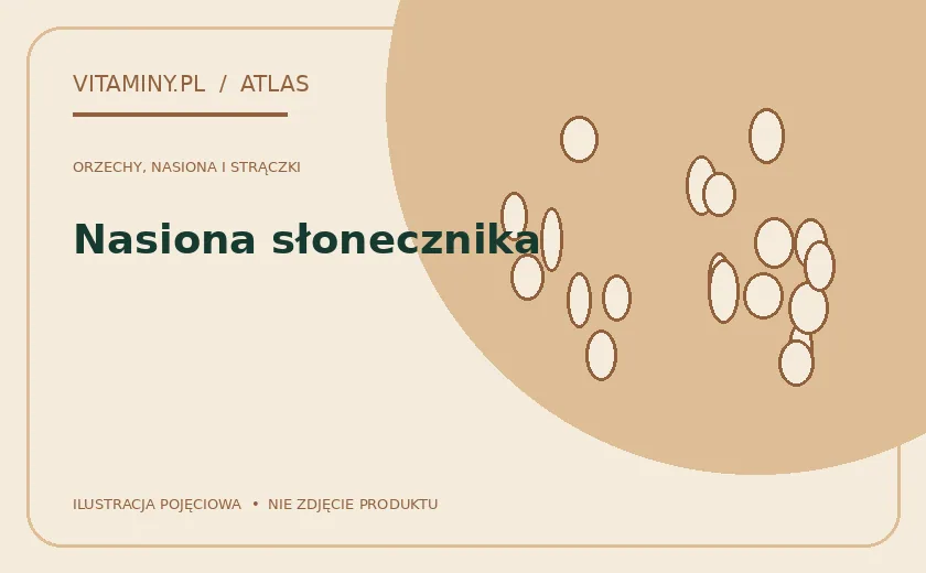 Nasiona słonecznika — ilustracja edukacyjna