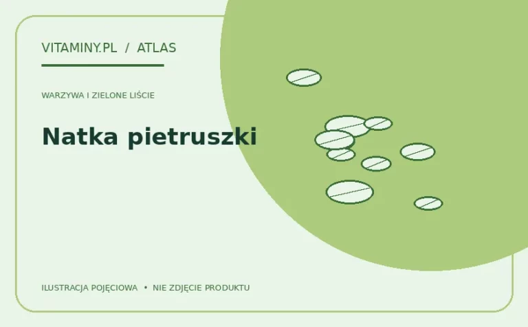 Natka pietruszki — ilustracja edukacyjna