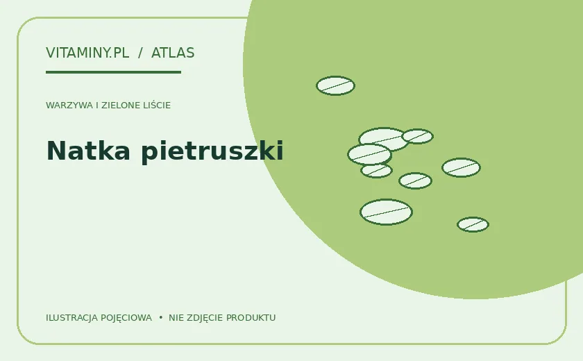 Natka pietruszki — ilustracja edukacyjna