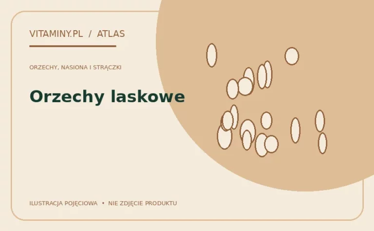 Orzechy laskowe — ilustracja edukacyjna