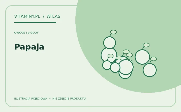 Papaja — ilustracja edukacyjna
