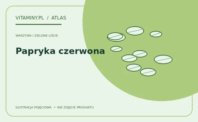 Papryka czerwona — ilustracja edukacyjna