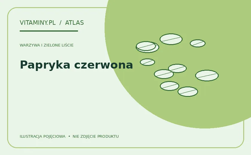 Papryka czerwona — ilustracja edukacyjna