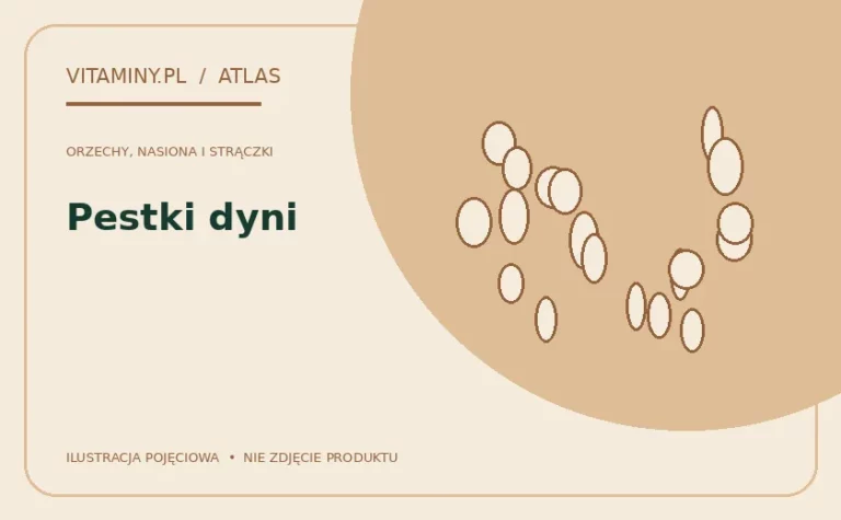 Pestki dyni — ilustracja edukacyjna