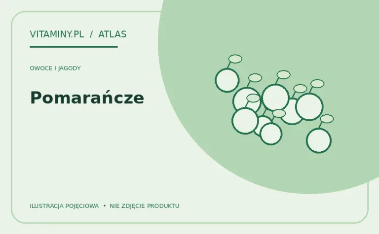 Pomarańcze — ilustracja edukacyjna