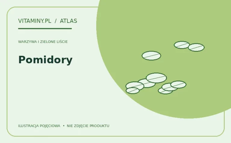 Pomidory — ilustracja edukacyjna