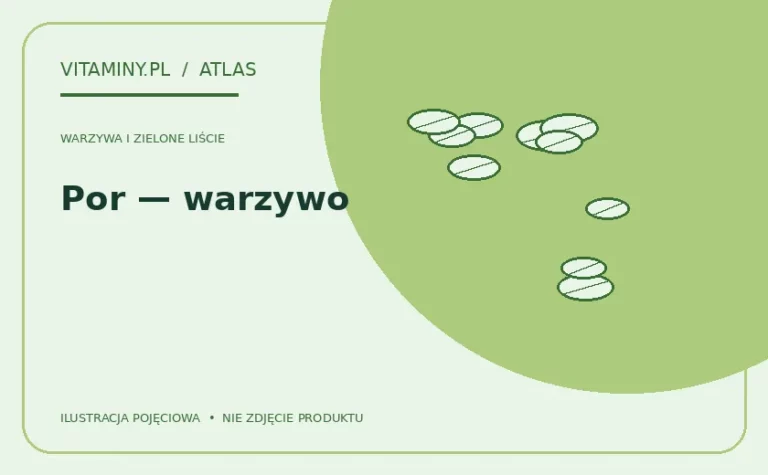 Por — warzywo — ilustracja edukacyjna
