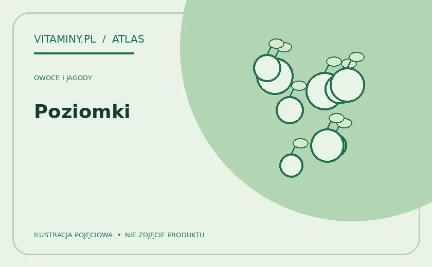 Poziomki — ilustracja edukacyjna